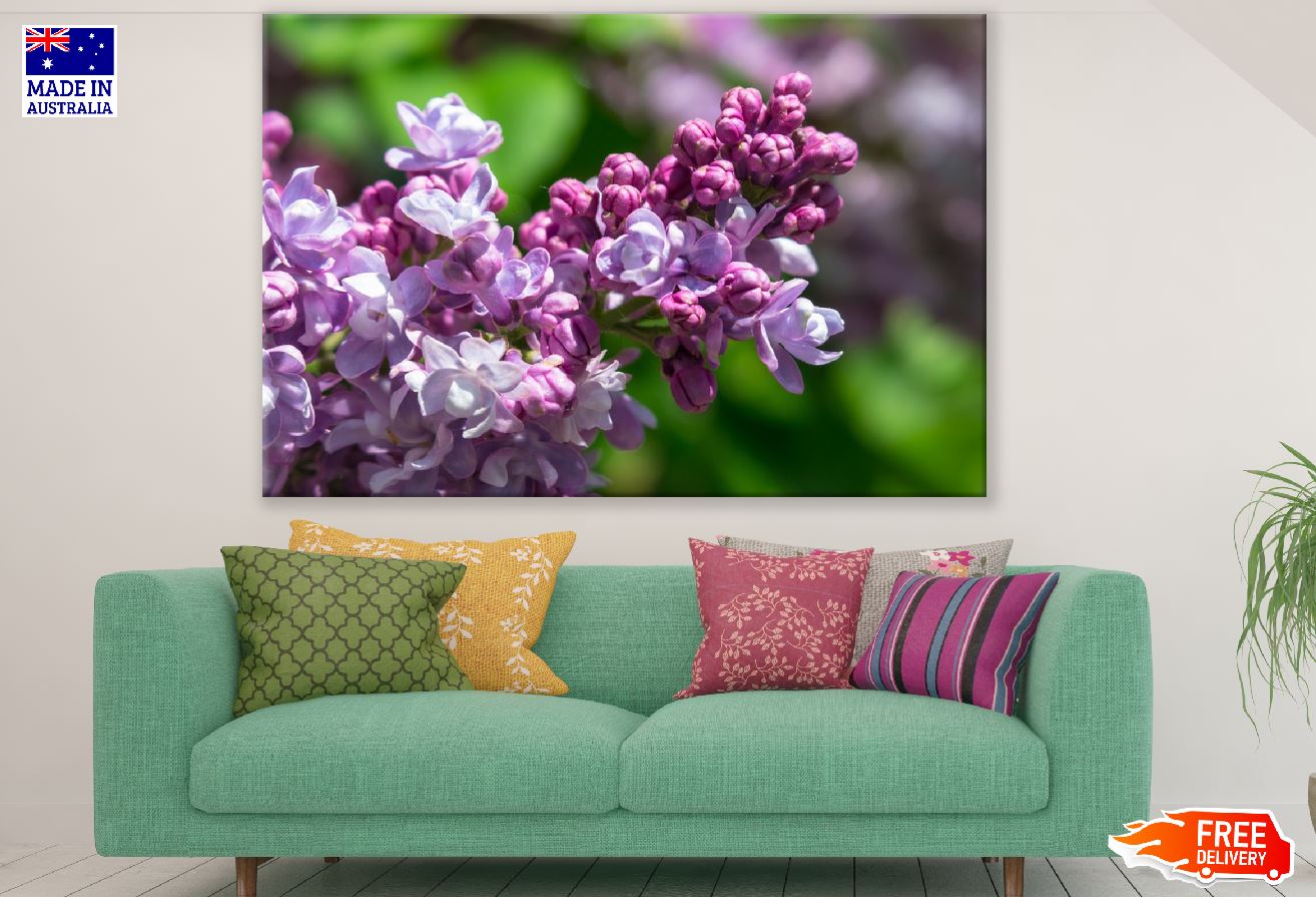 Pink Lilac Flowers Closeup Photograph Print 100% Australian Made