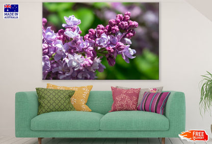Pink Lilac Flowers Closeup Photograph Print 100% Australian Made
