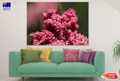 Pink Butterfly Bush Flower View Photograph Print 100% Australian Made