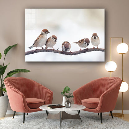 Sparrow Birds on Branch Print Tempered Glass Wall Art 100% Made in Australia Ready to Hang