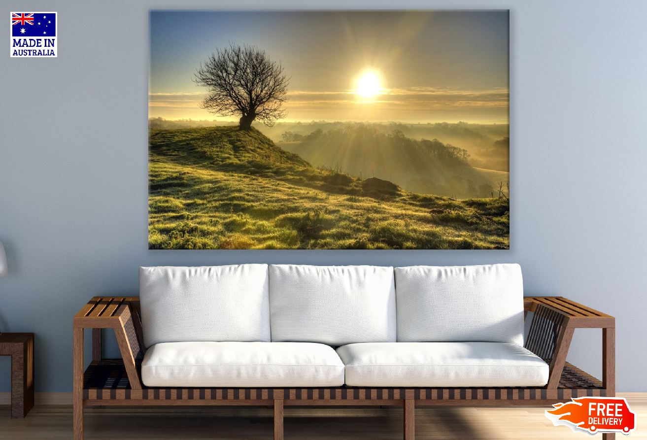 Sunset Tree on Hill Photograph Print 100% Australian Made