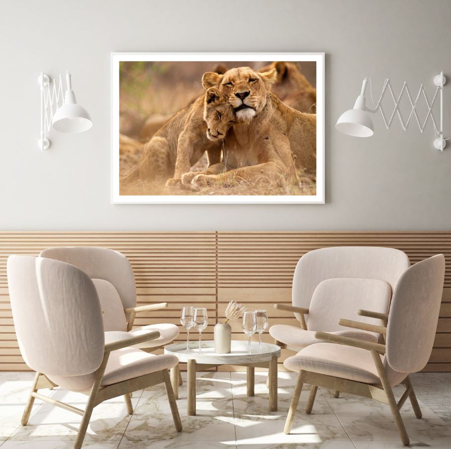 Lioness Herd Closeup Photograph Home Decor Premium Quality Poster Print Choose Your Sizes