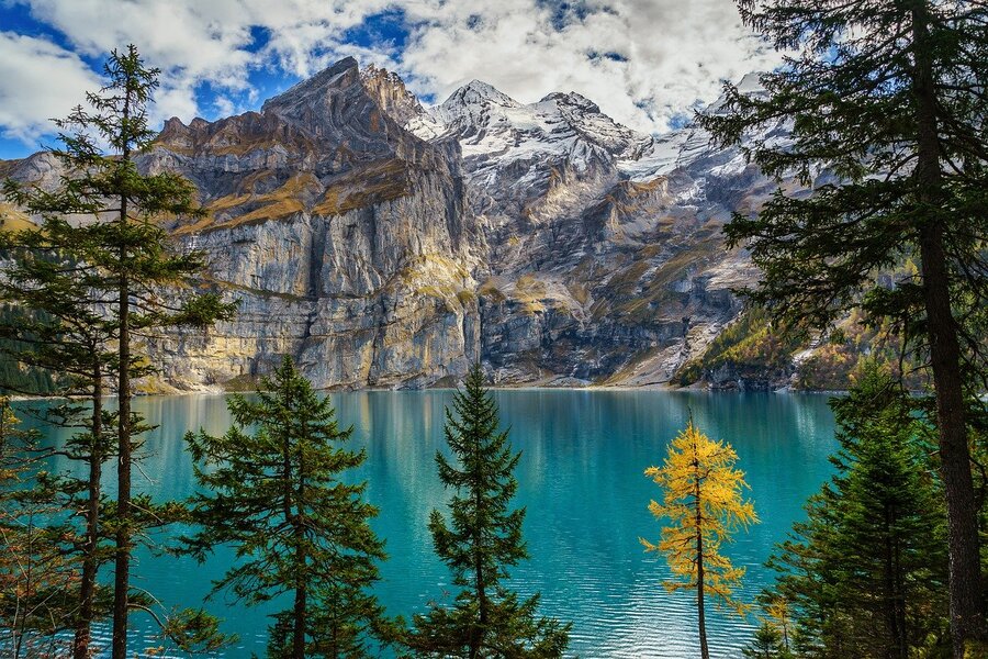 Autumn Trees & Lake Near Snow Mountains Photograph Print 100% Australian Made