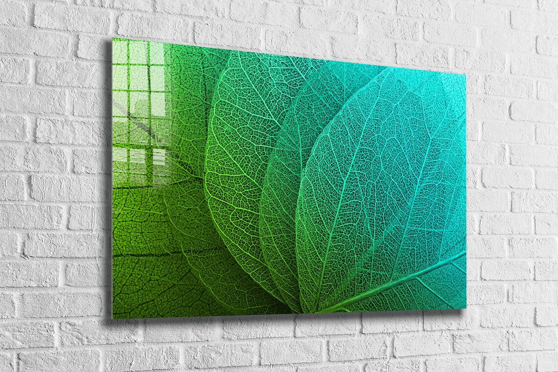 Green Xray Leaves View Print Tempered Glass Wall Art 100% Made in Australia Ready to Hang