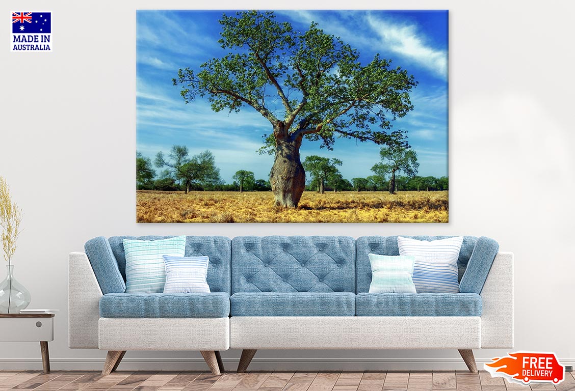 Huge Tree in Dry Ground Photograph Print 100% Australian Made