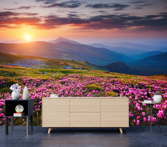 Wallpaper Murals Peel and Stick Removable Floral Field Sunset View High Quality