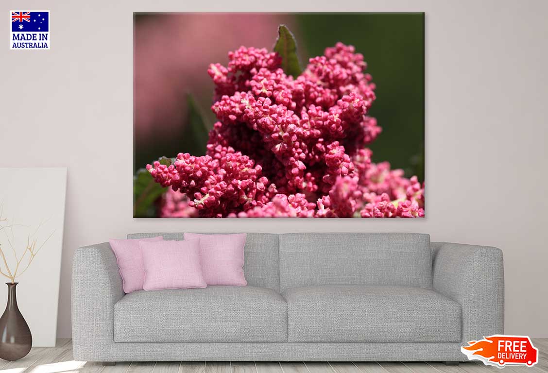 Pink Butterfly Bush Flower View Photograph Print 100% Australian Made