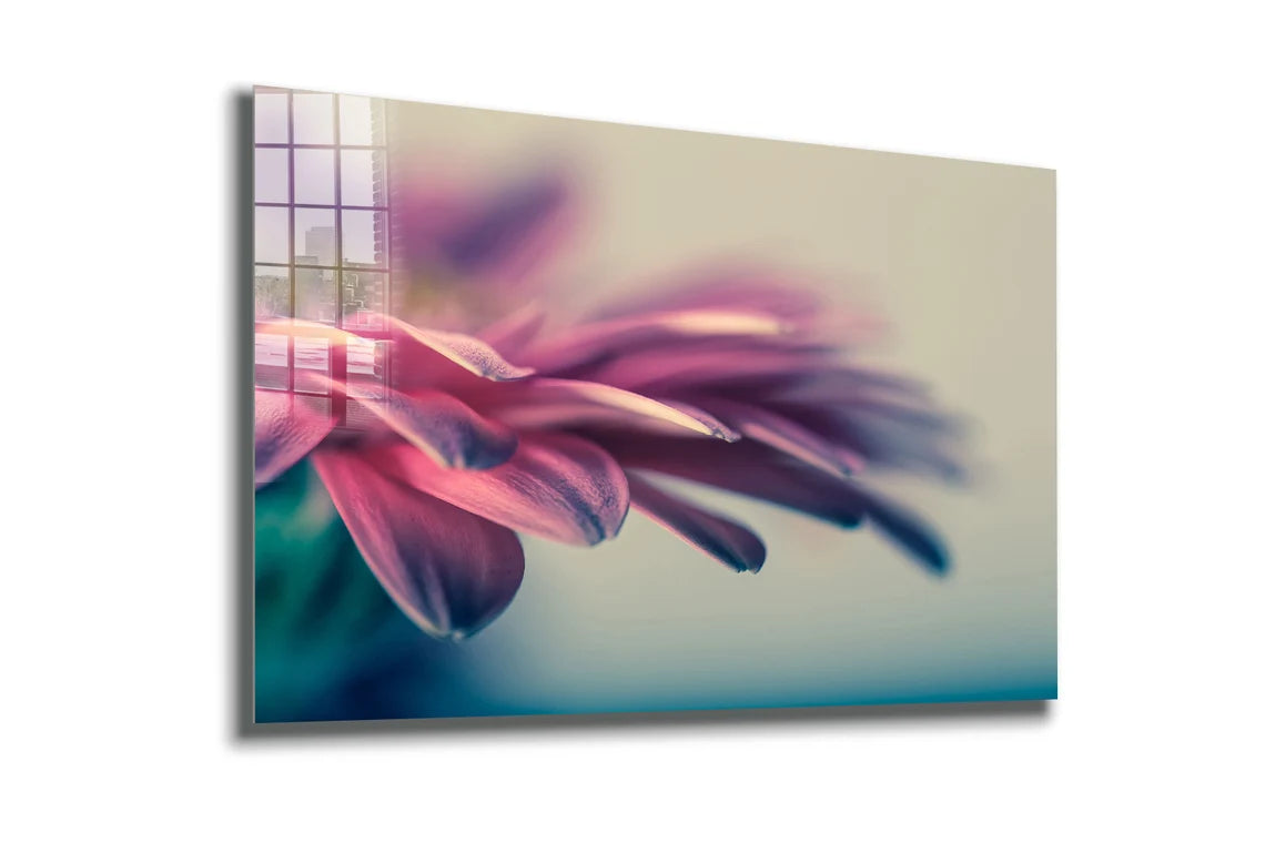 Pink Petals Closeup Print Tempered Glass Wall Art 100% Made in Australia Ready to Hang