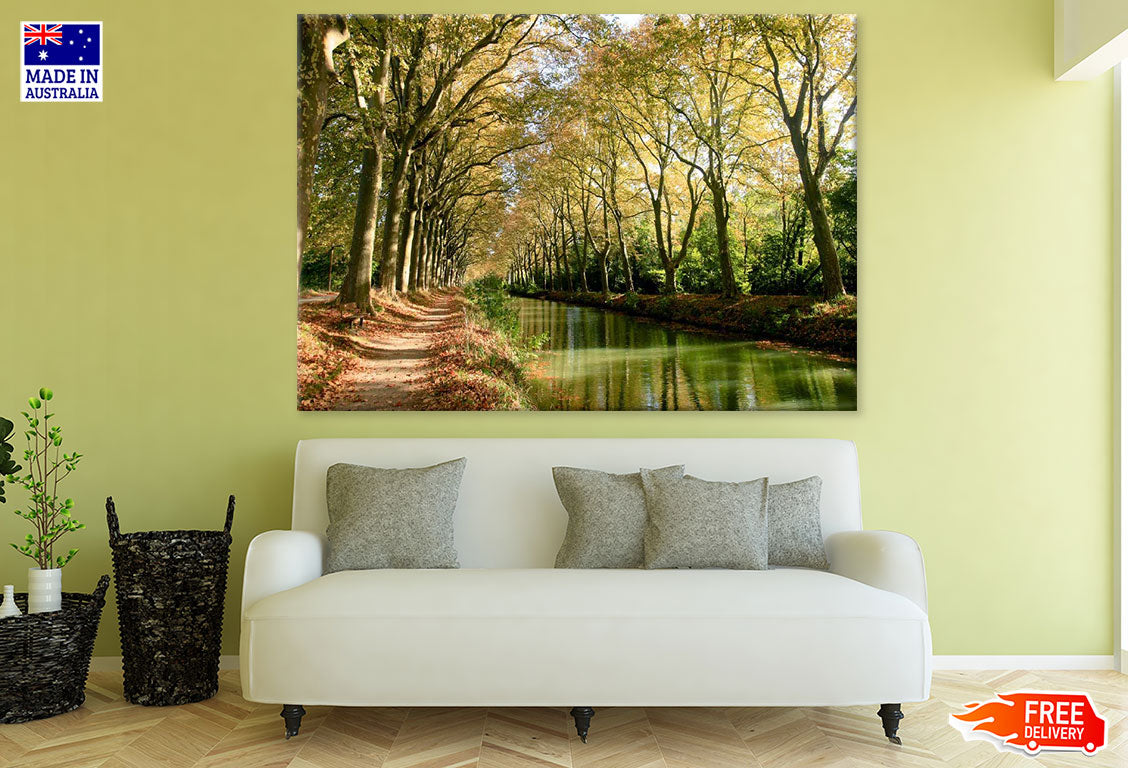 Trees Row Along River Photograph Print 100% Australian Made