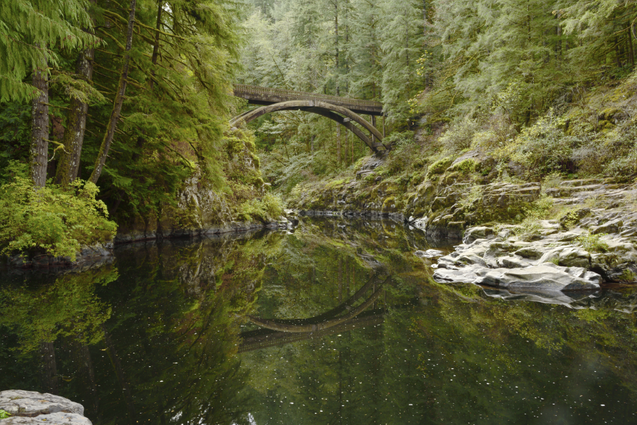 Bridge On River & Forest View Print 100% Australian Made