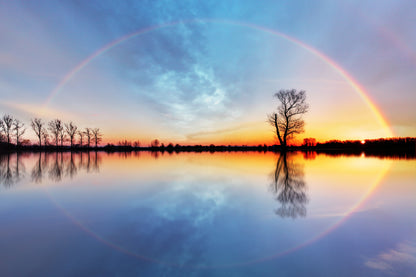 Tree on Lake Rainbow Sky Sunrise Photograph Home Decor Premium Quality Poster Print Choose Your Sizes