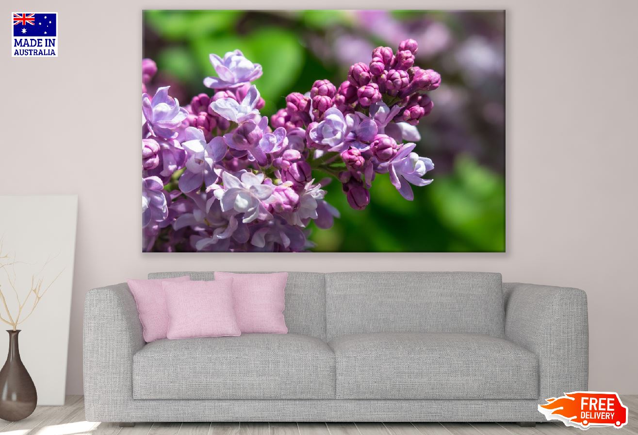 Pink Lilac Flowers Closeup Photograph Print 100% Australian Made