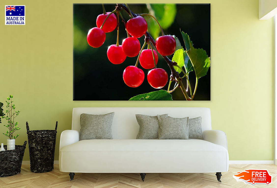 Cherries Closeup Photograph Print 100% Australian Made