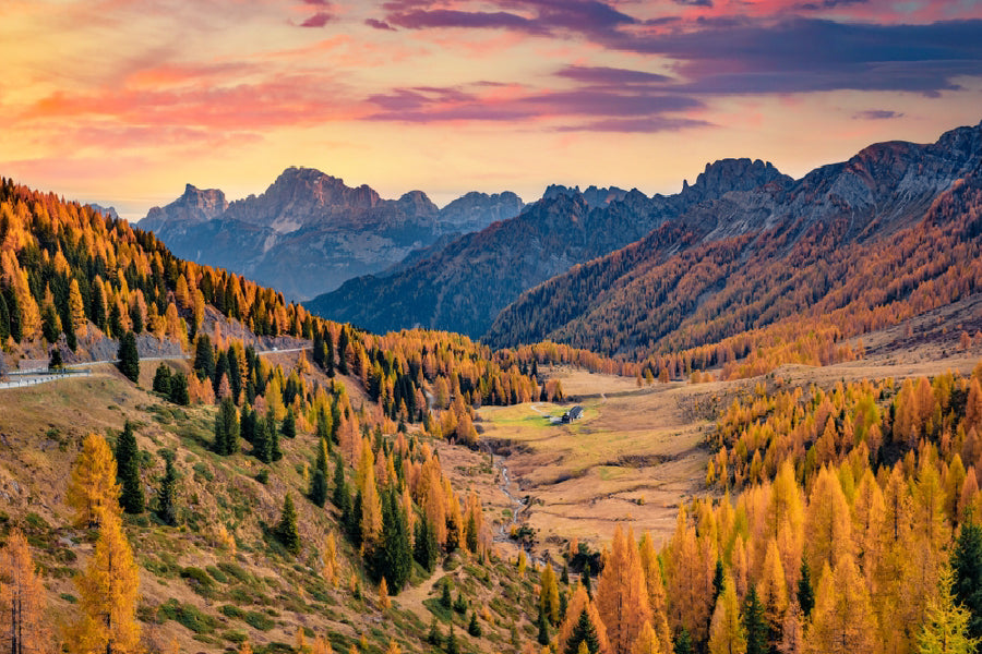 Autumn Trees & Mountains Forest Scenery Photograph Print 100% Australian Made