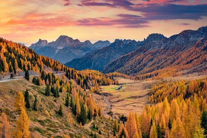 Autumn Trees & Mountains Forest Scenery Photograph Print 100% Australian Made