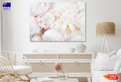Pink & White Peonies Closeup View Photograph Print 100% Australian Made