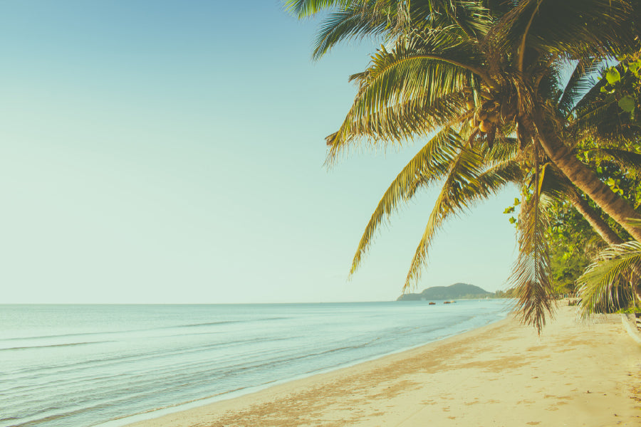 Bella Home Palm Trees Near Chao Lao Beach Print Canvas Ready to hang