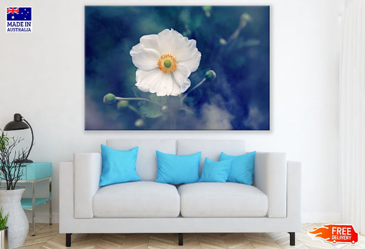 White Anemone Flower Closeup Photograph Print 100% Australian Made