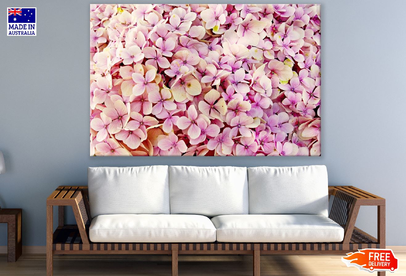 Hydrangea Flower Closeup Photograph Print 100% Australian Made