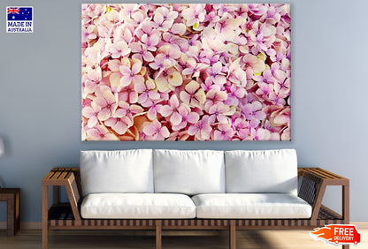 Hydrangea Flower Closeup Photograph Print 100% Australian Made
