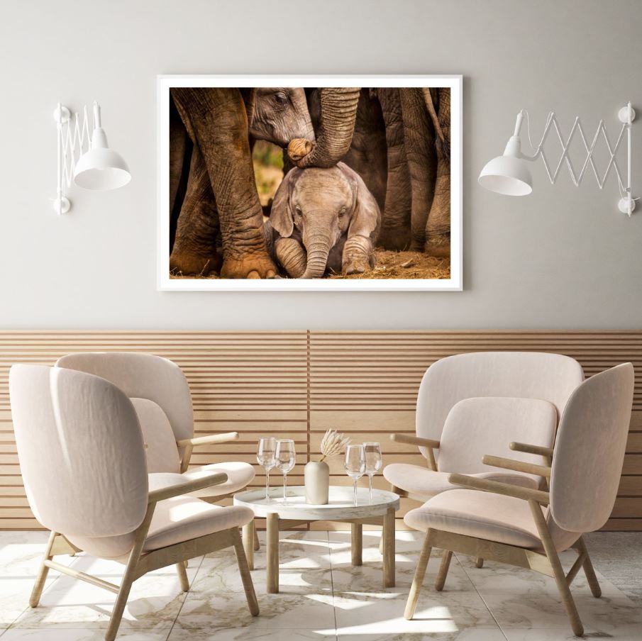 Elephants Closeup Photograph Home Decor Premium Quality Poster Print Choose Your Sizes