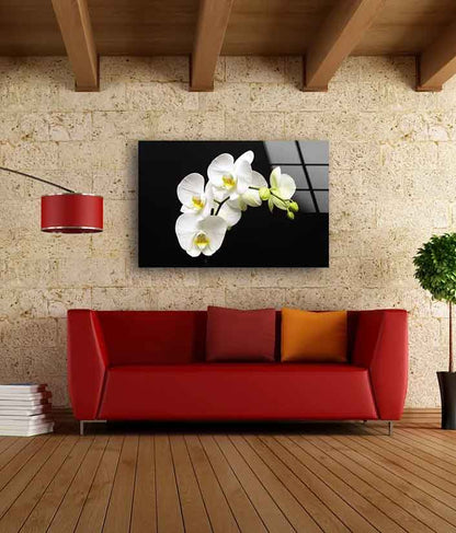 White Orchid Flowers Photograph Acrylic Glass Print Tempered Glass Wall Art 100% Made in Australia Ready to Hang