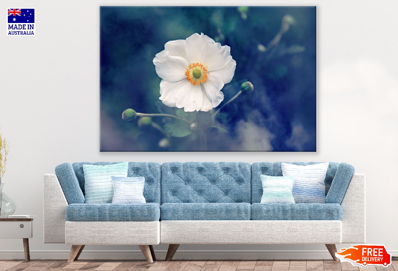 White Anemone Flower Closeup Photograph Print 100% Australian Made