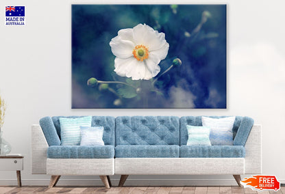 White Anemone Flower Closeup Photograph Print 100% Australian Made
