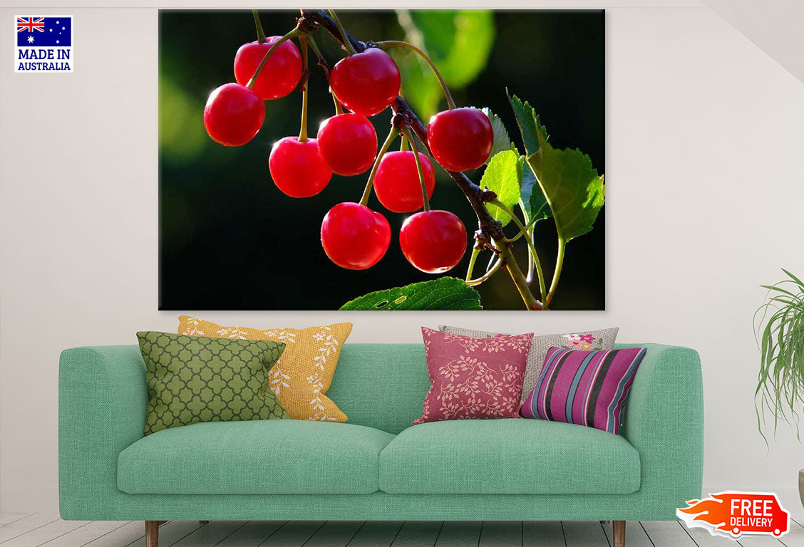 Cherries Closeup Photograph Print 100% Australian Made