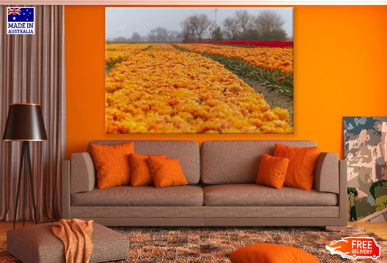 Orange Tulip Flower Field Photograph Print 100% Australian Made