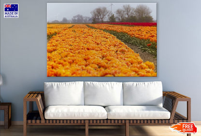 Orange Tulip Flower Field Photograph Print 100% Australian Made