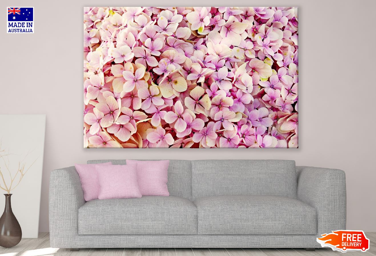 Hydrangea Flower Closeup Photograph Print 100% Australian Made