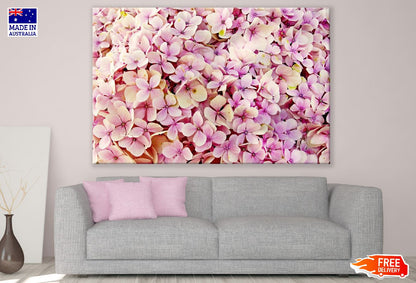 Hydrangea Flower Closeup Photograph Print 100% Australian Made