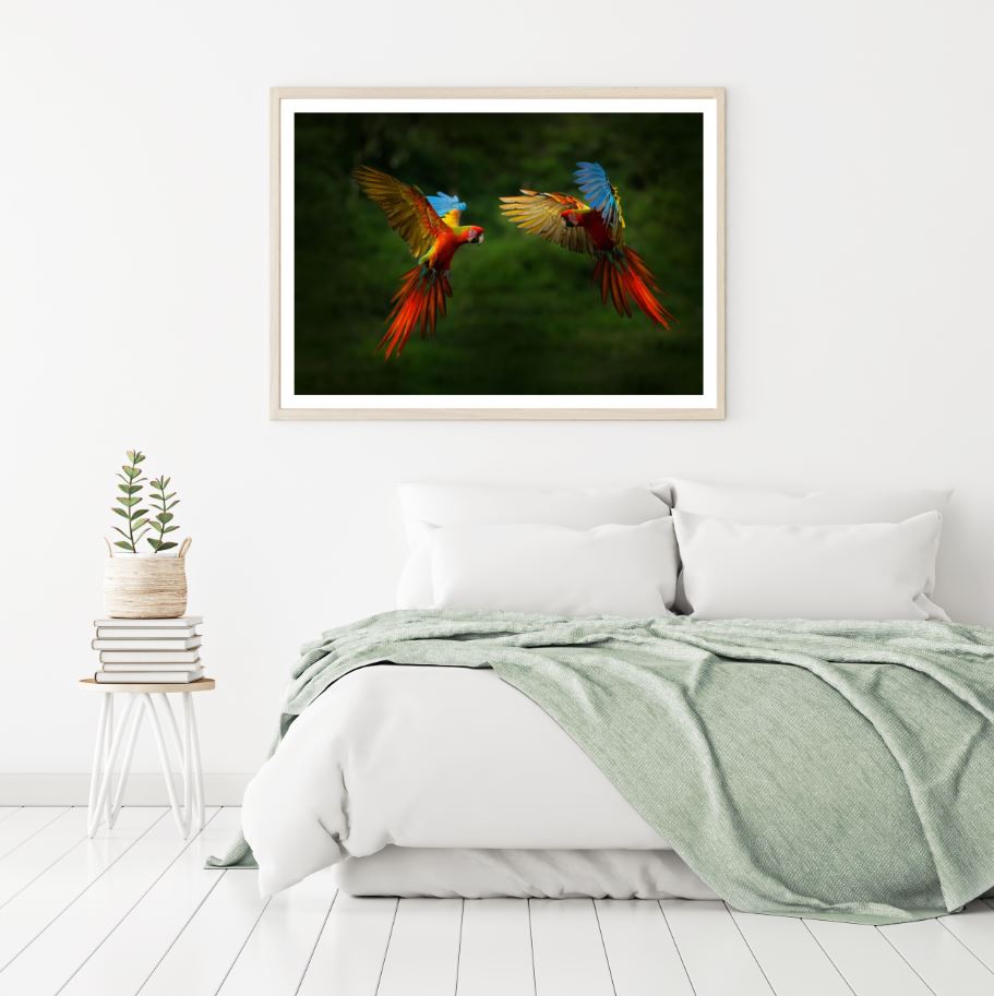Red Parrots Flying Closeup Photograph Home Decor Premium Quality Poster Print Choose Your Sizes