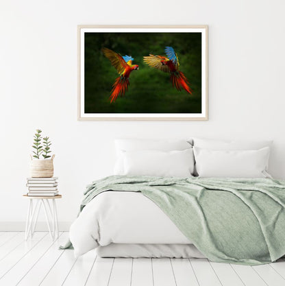 Red Parrots Flying Closeup Photograph Home Decor Premium Quality Poster Print Choose Your Sizes