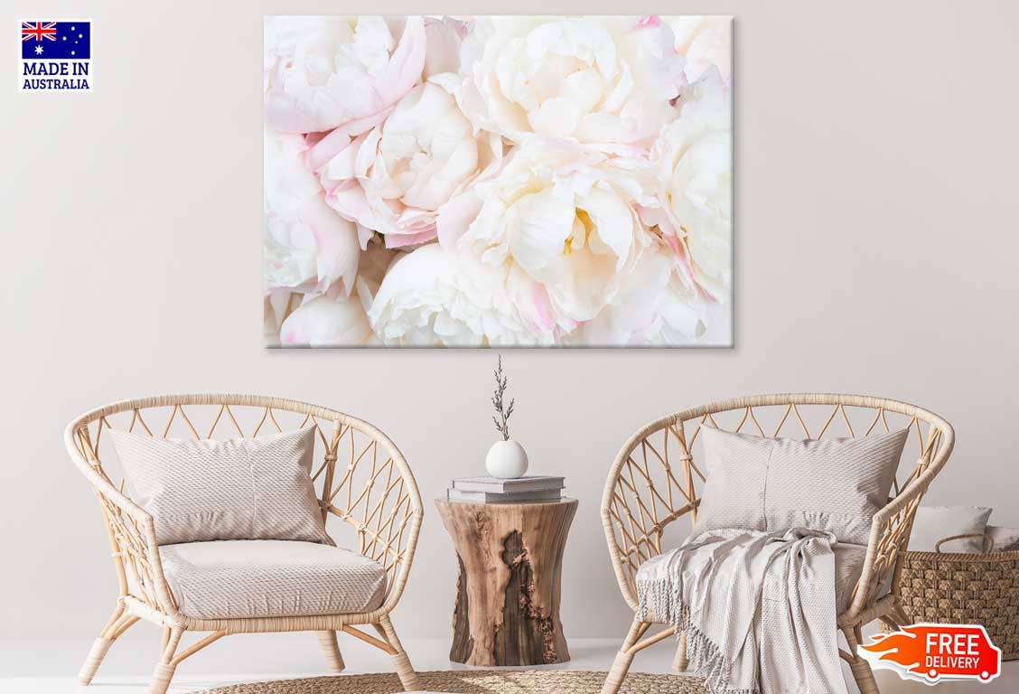 Pink & White Peonies Closeup View Photograph Print 100% Australian Made