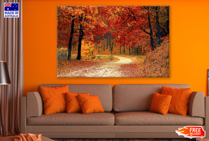 Autumn Tree Yellow Leaves on Steet Print 100% Australian Made