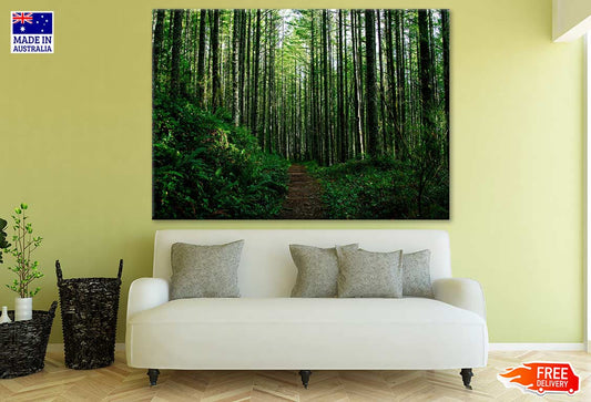 Tall Trees Forest Photograph Print 100% Australian Made