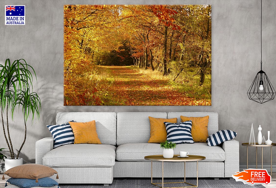 Autumn Tree Forest Photograph Print 100% Australian Made