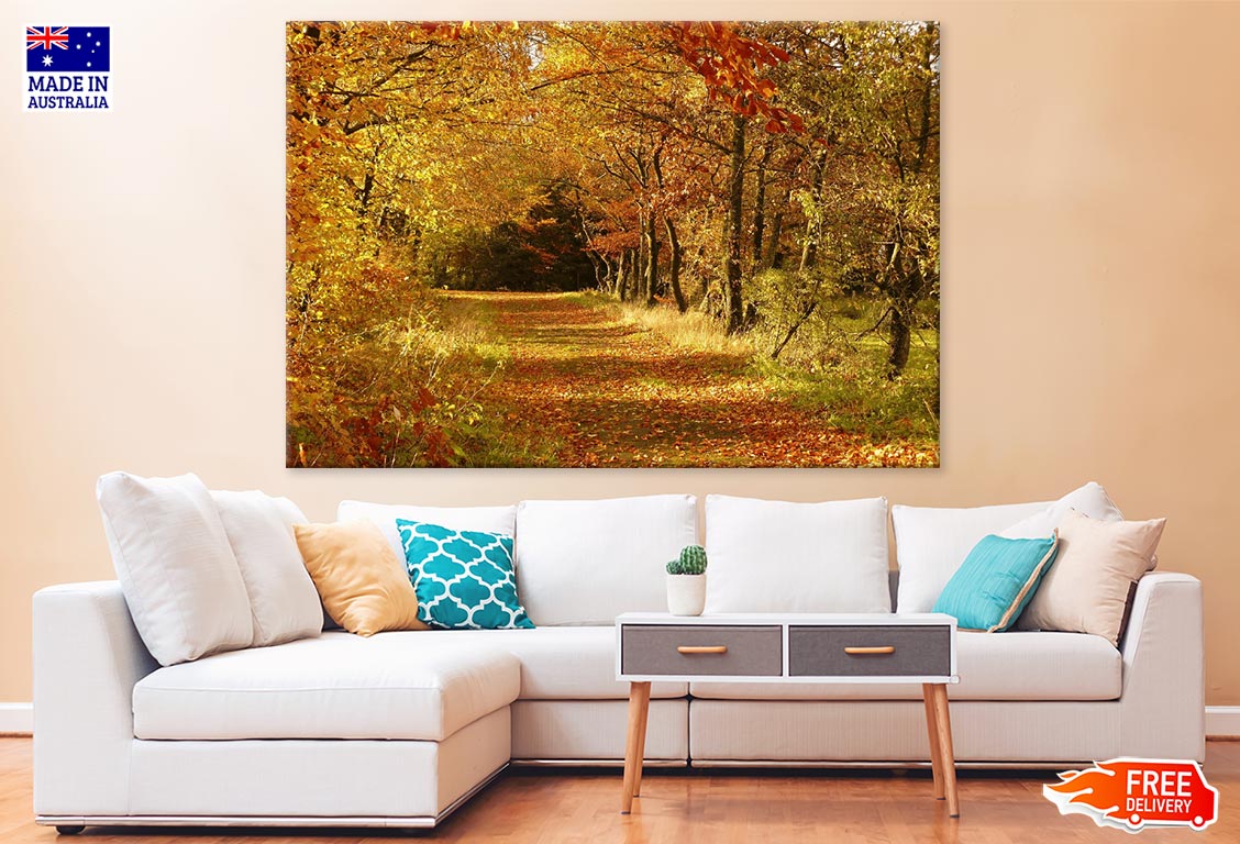 Autumn Tree Forest Photograph Print 100% Australian Made