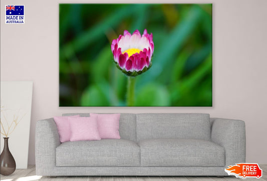Pink Flower Closeup Photograph Print 100% Australian Made
