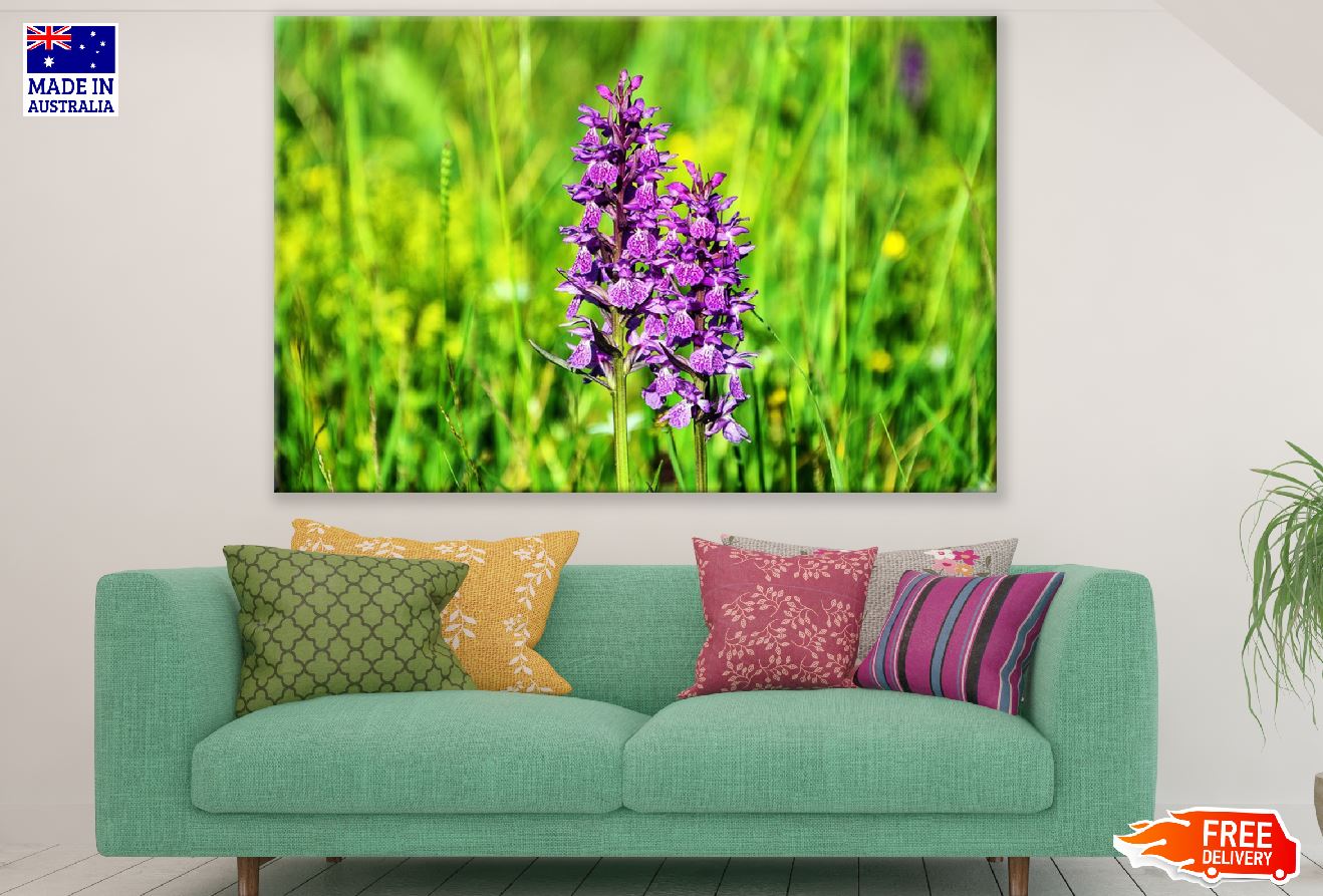 Purple Orcid Flowers Photograph Print 100% Australian Made
