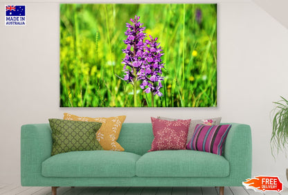Purple Orcid Flowers Photograph Print 100% Australian Made