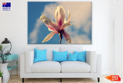White Magnolia Flower Closeup Photograph Print 100% Australian Made