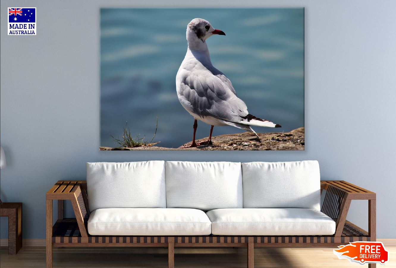 Seagull Bird Closeup Photograph Print 100% Australian Made