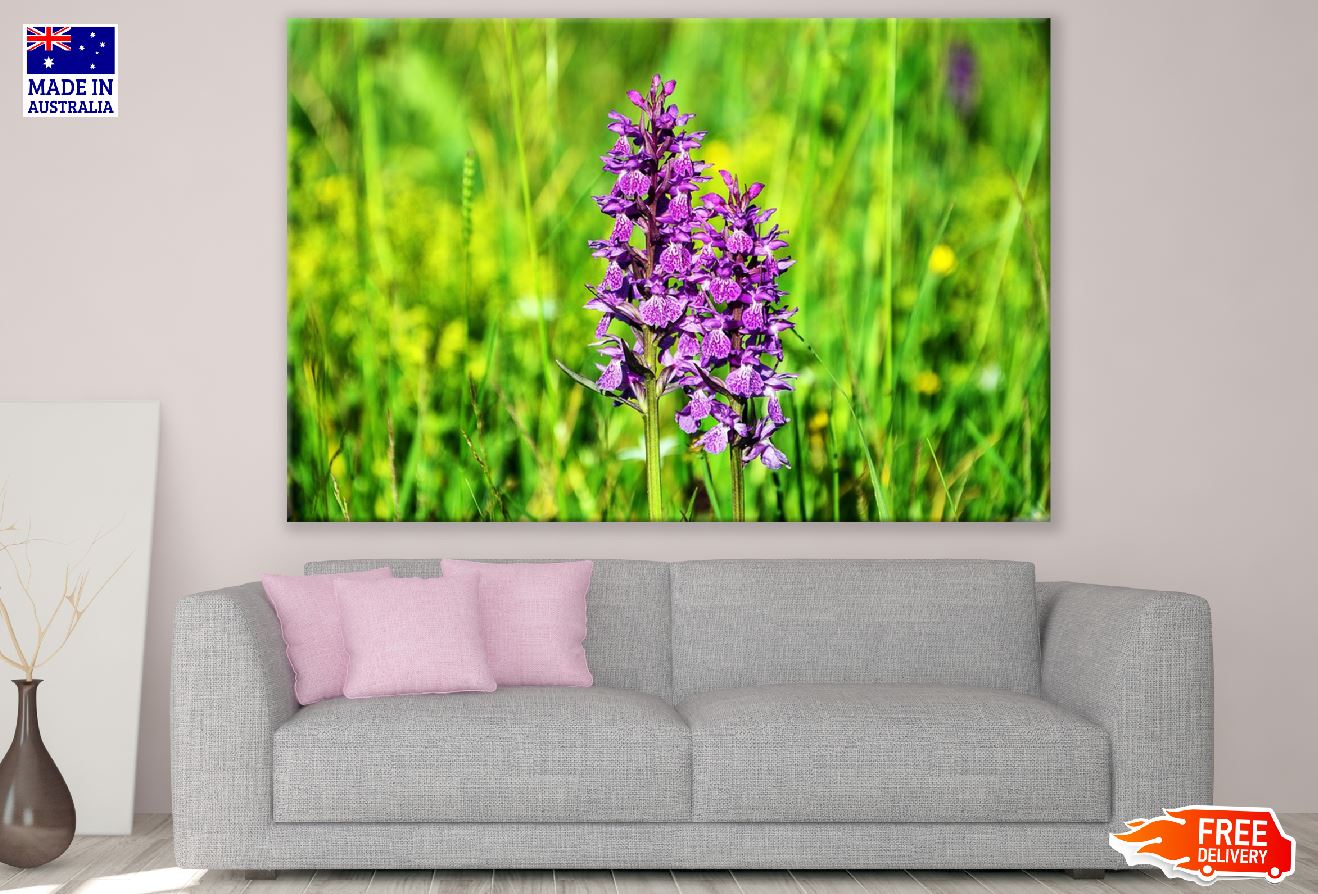 Purple Orcid Flowers Photograph Print 100% Australian Made