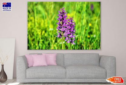 Purple Orcid Flowers Photograph Print 100% Australian Made
