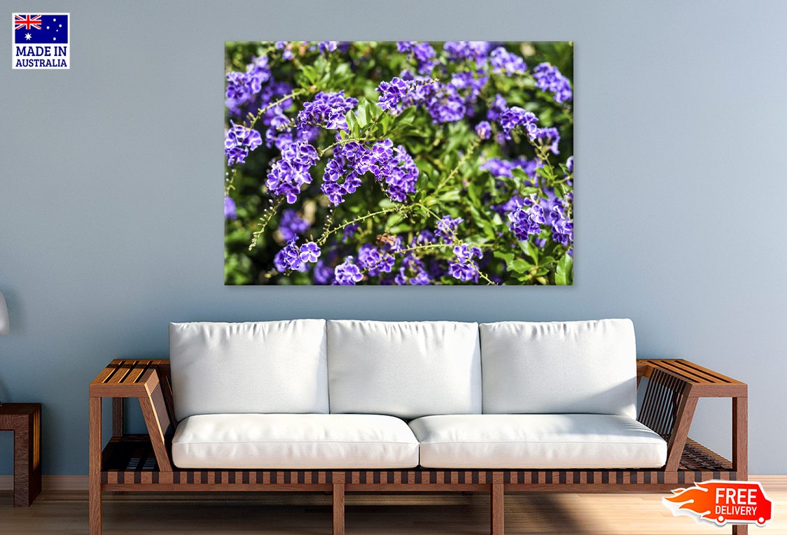 Purple Flowers Nature Plant View Print 100% Australian Made
