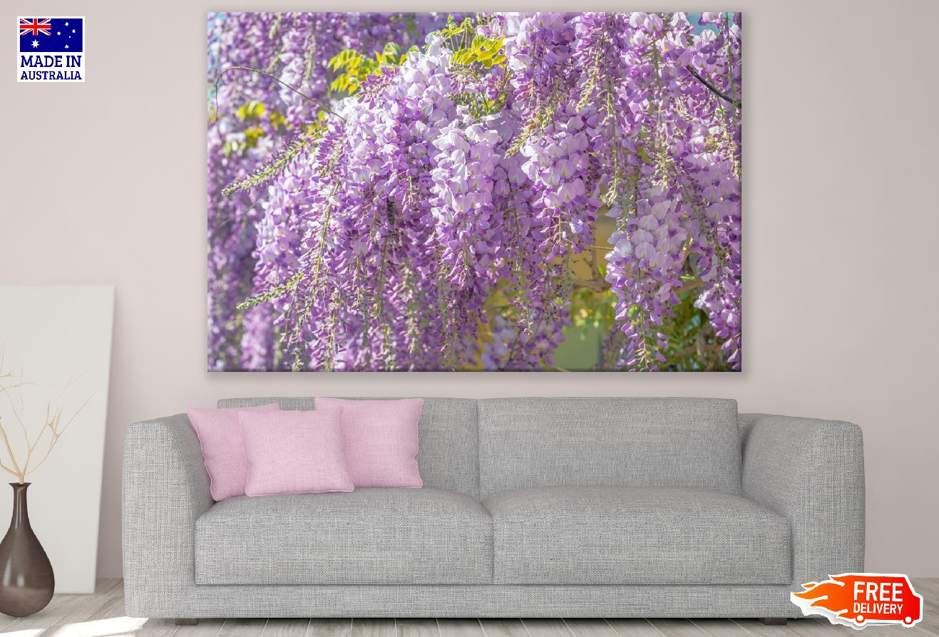 Purple Wisteria Flowers Photograph Print 100% Australian Made
