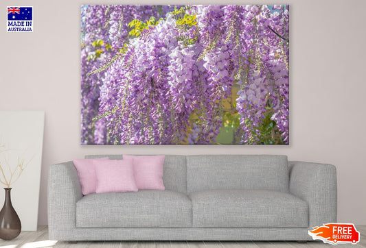 Purple Wisteria Flowers Photograph Print 100% Australian Made